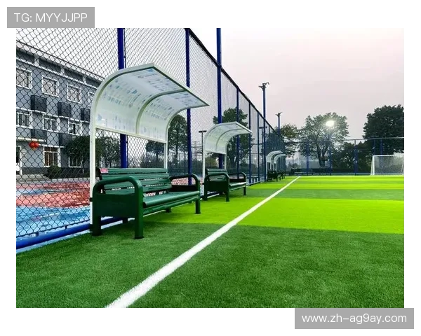 足球赛事中的场地安全与组织规范