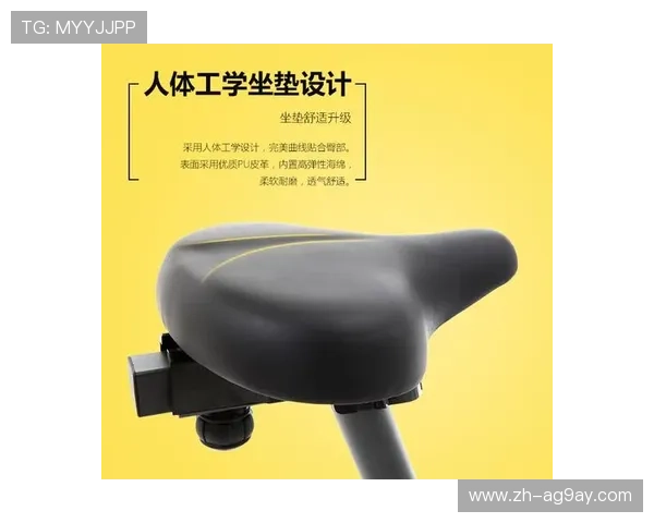 飞健身器材牌子产品性能及市场口碑综合评测